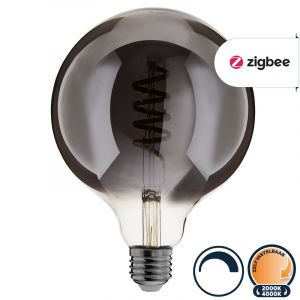 Zigbee led lamp E27 globe 2000K-4000K (G125)